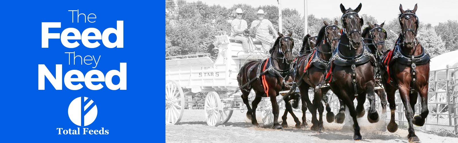 Horse pulling wagon in pasture